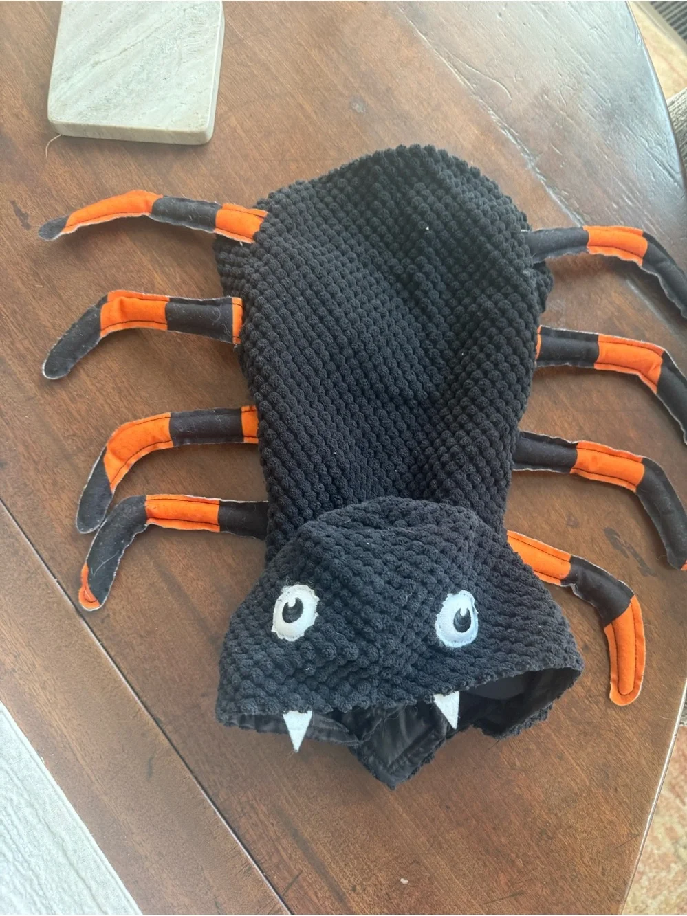 Vibrant Life Small Dog Spider Halloween Costume Black Orange